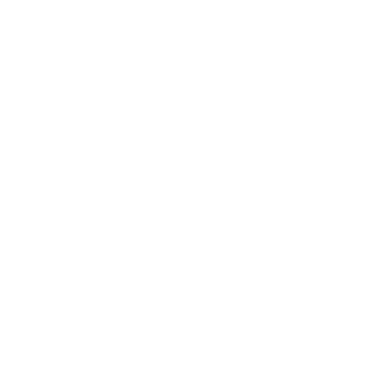 Eli J Fine