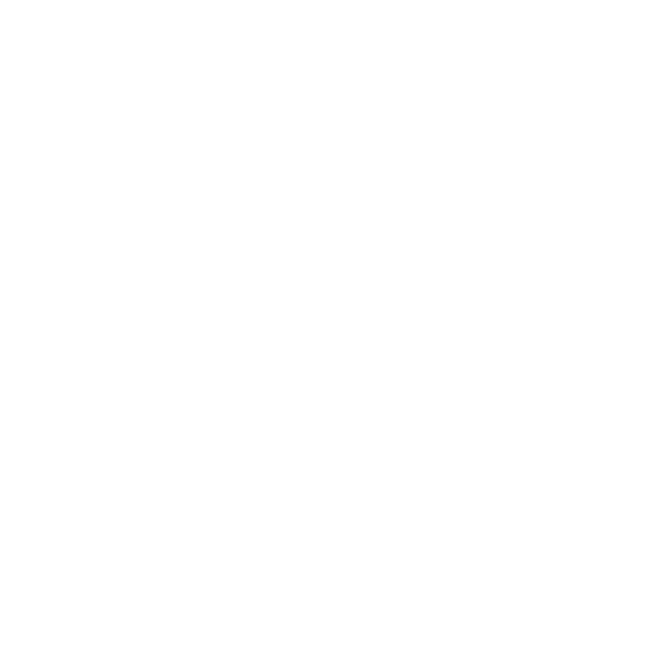 Rachel Boston
